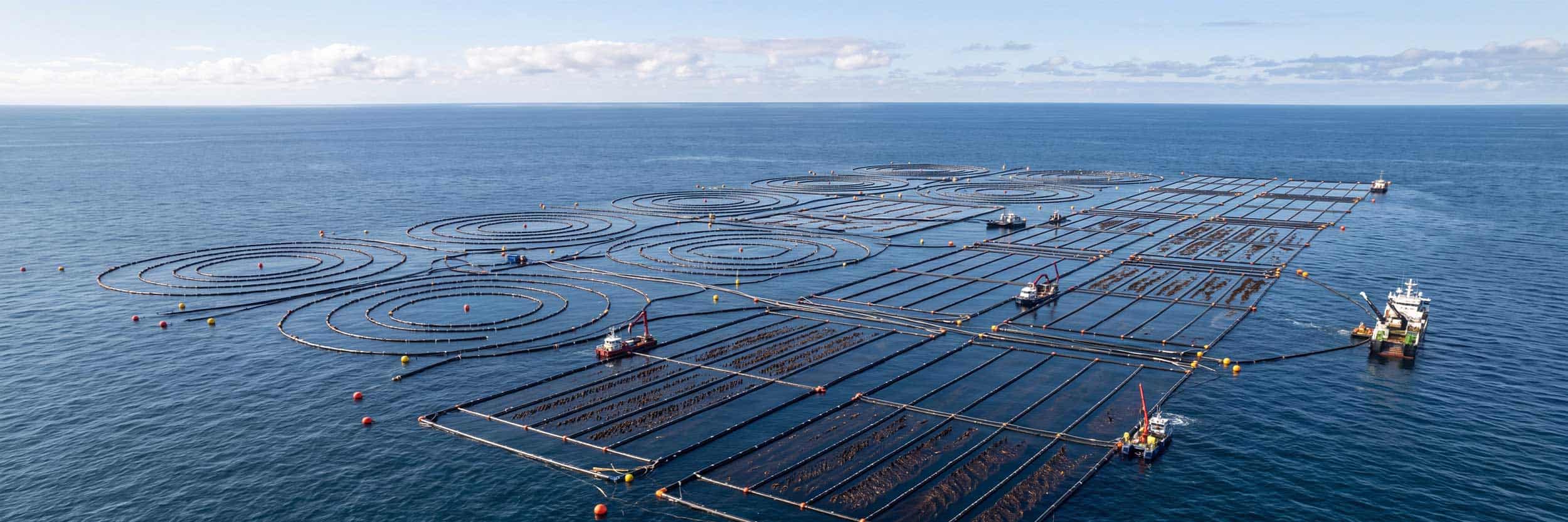 AQ_desktop Aerial view of an offshore aquaculture farm with circular fish pens, rectangular farming structures, and service boats on the ocean.