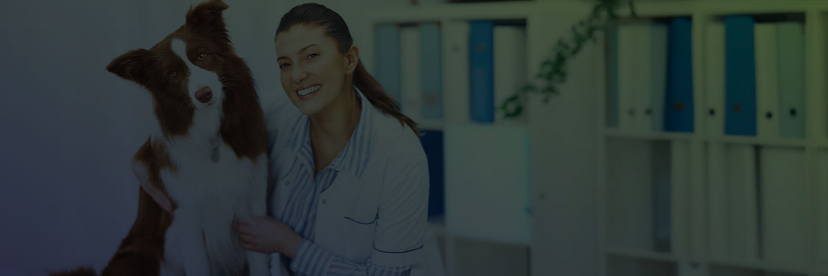 vet-assistant-webinar (1)