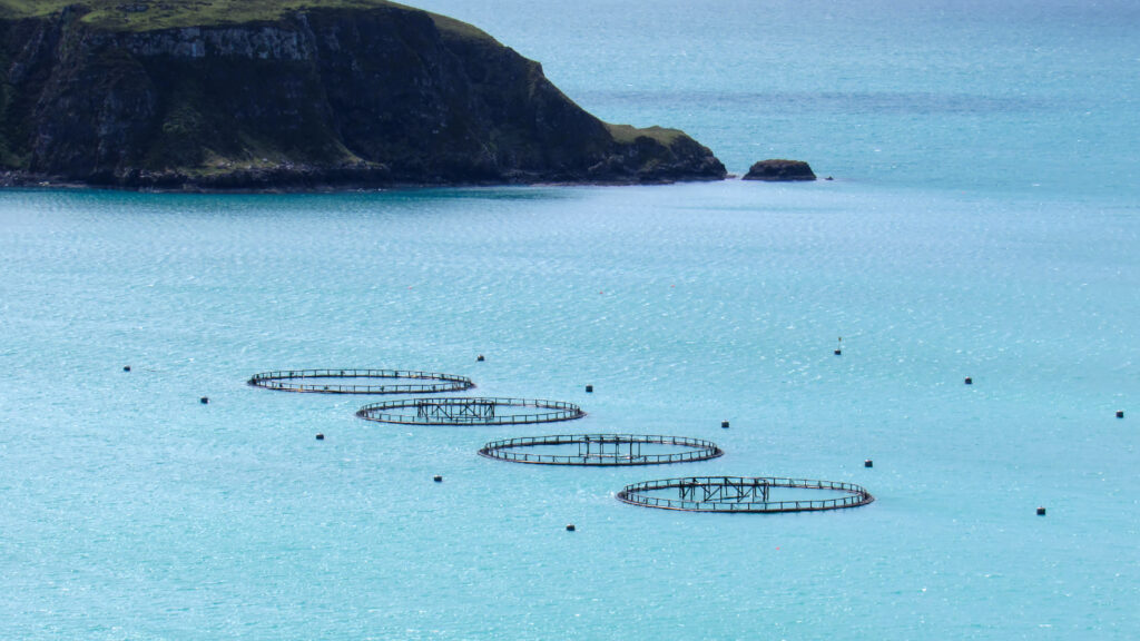 What is Aquaculture and Why Does it Matter?