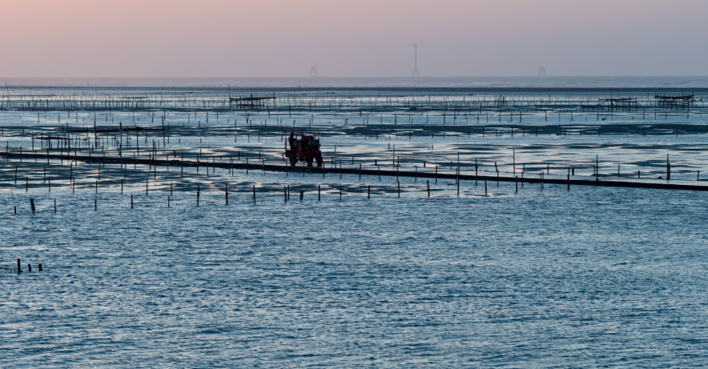 Aquaculture Careers in BC