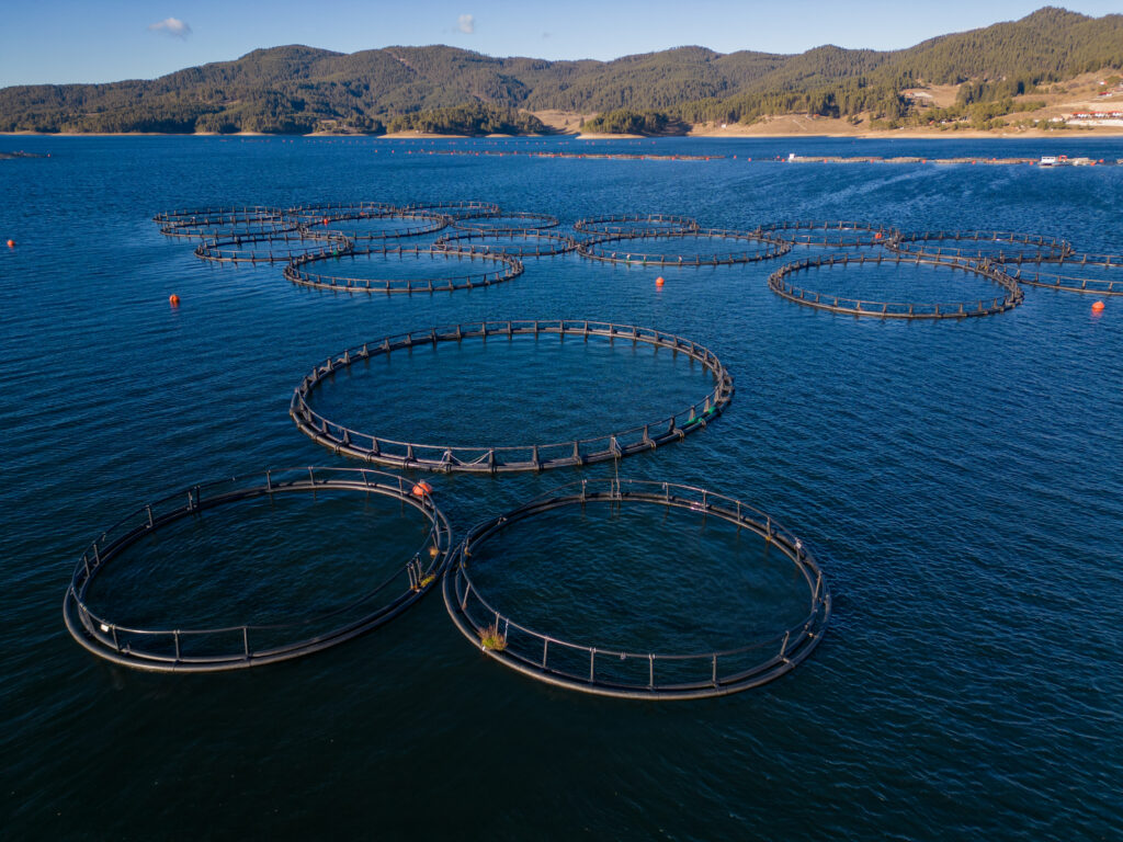 Aquaculture vs Wild Fishing: Key Differences, Benefits & Careers in 2025