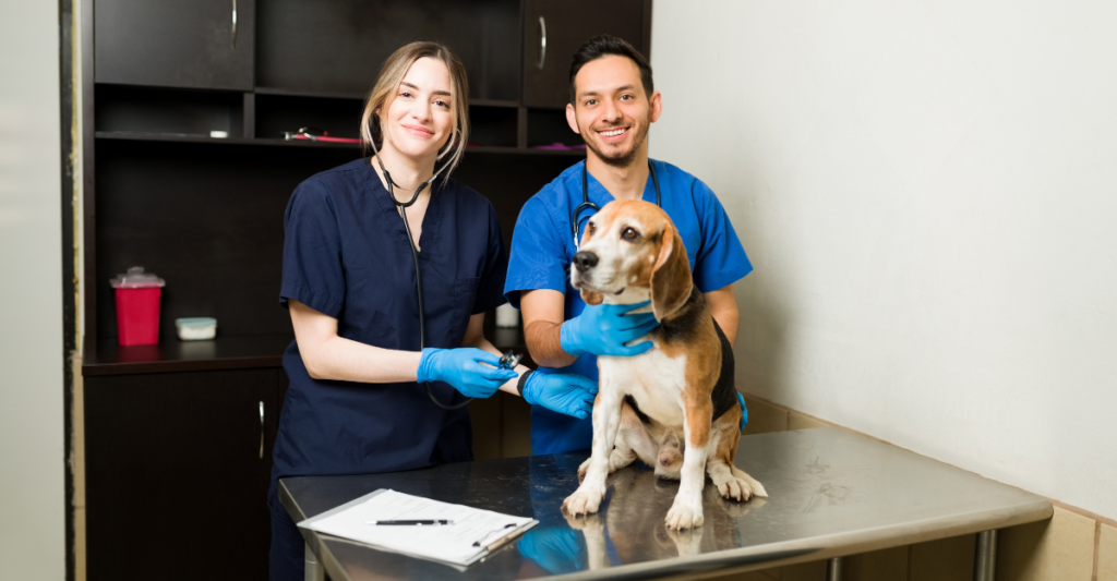 What Does a Veterinary Assistant Do? A Beginner’s Guide