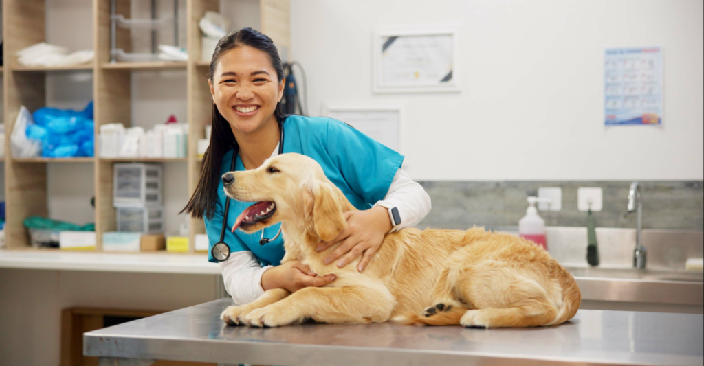 A Day in a Veterinary Assistant’s Life